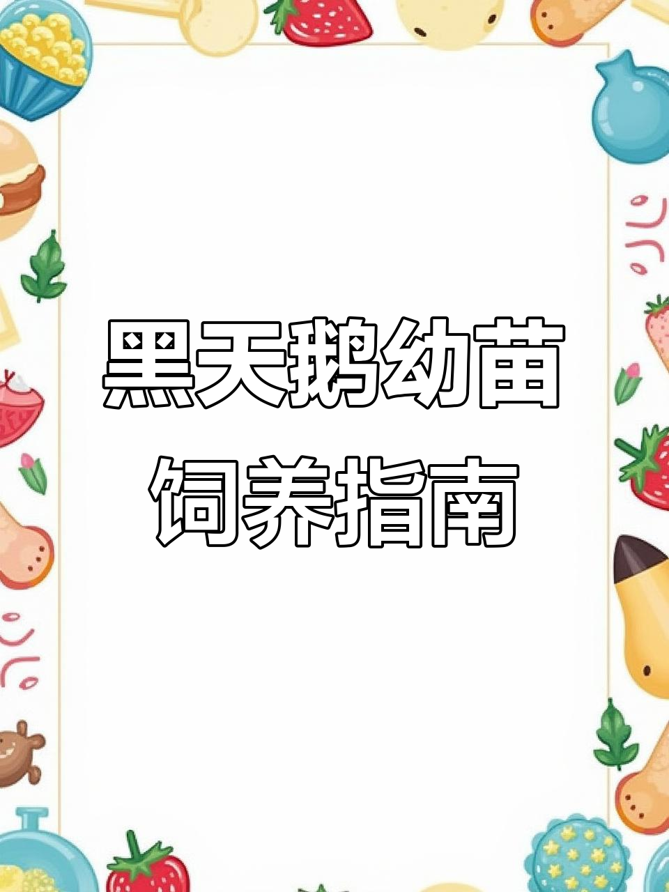 黑天鹅幼苗养殖技巧与饲料选择,抗病能力强