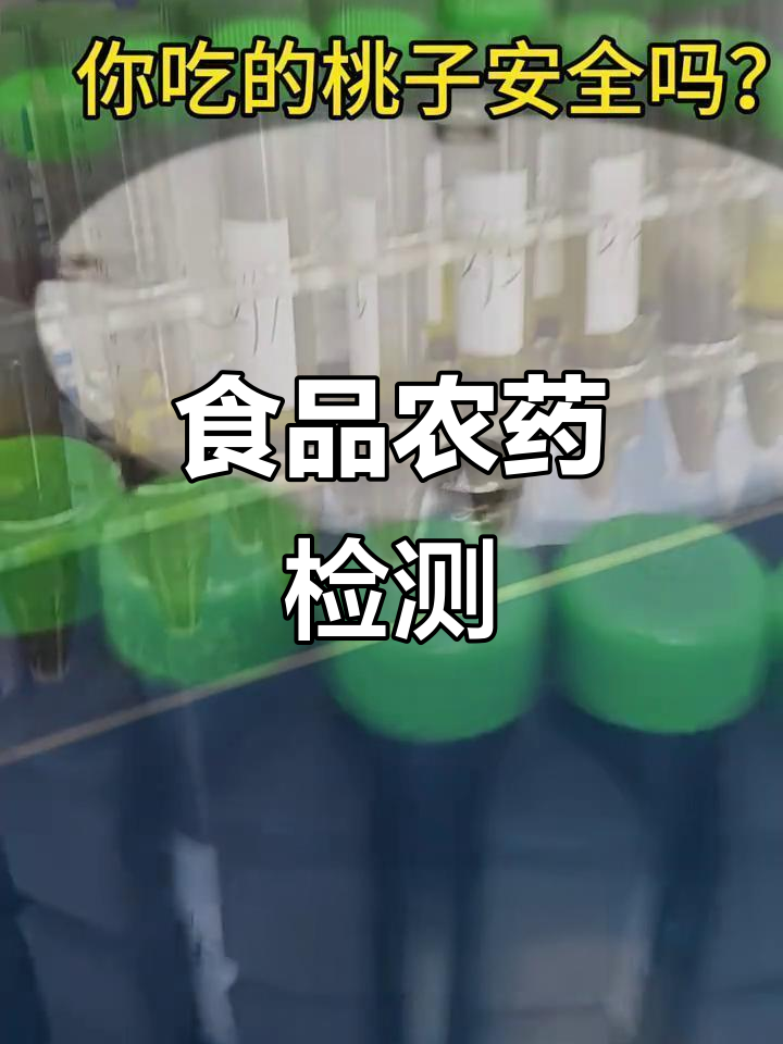 食品安全检测:水果蔬菜农药残留分析