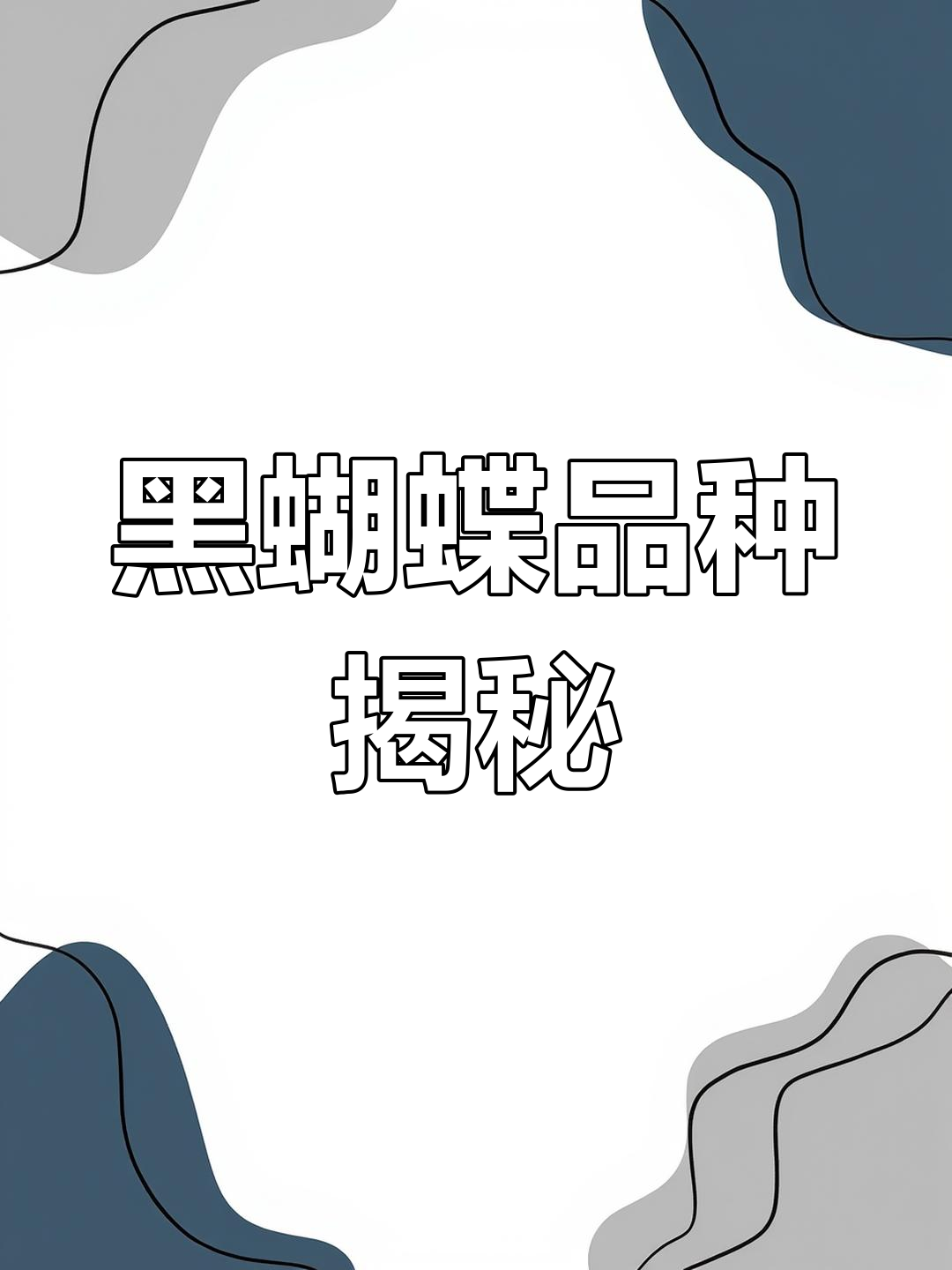 黑色系蝴蝶:从刚果到坦桑尼亚,梦幻与极致的完美结合