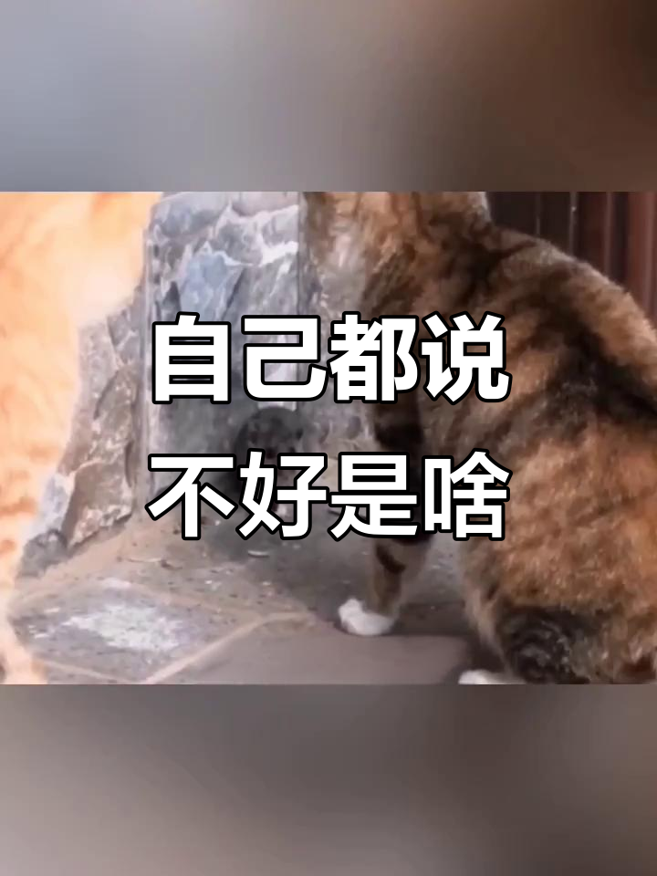 鸭脖变“自己”都懵了,搞笑对话笑翻全场