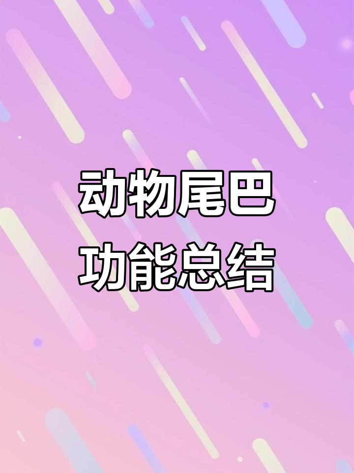 一年级期末复习:动物尾巴的神奇作用,孩子必学知识点