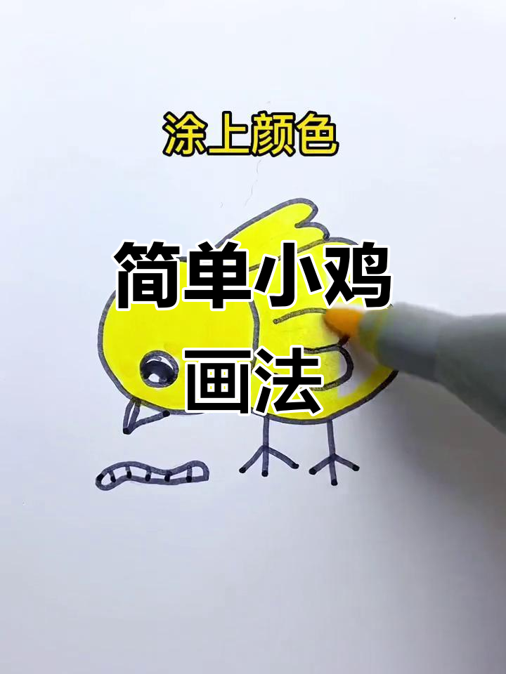 小鸡简笔画，轻松学会动物画