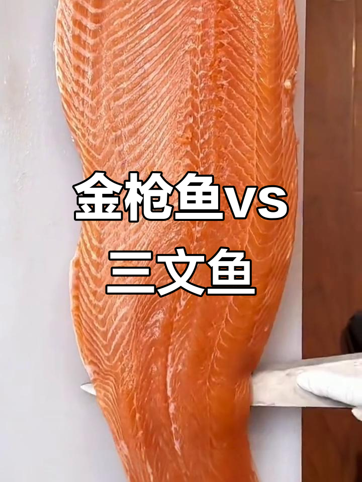 金枪鱼与三文鱼的终极对决,哪种刺身更胜一筹?