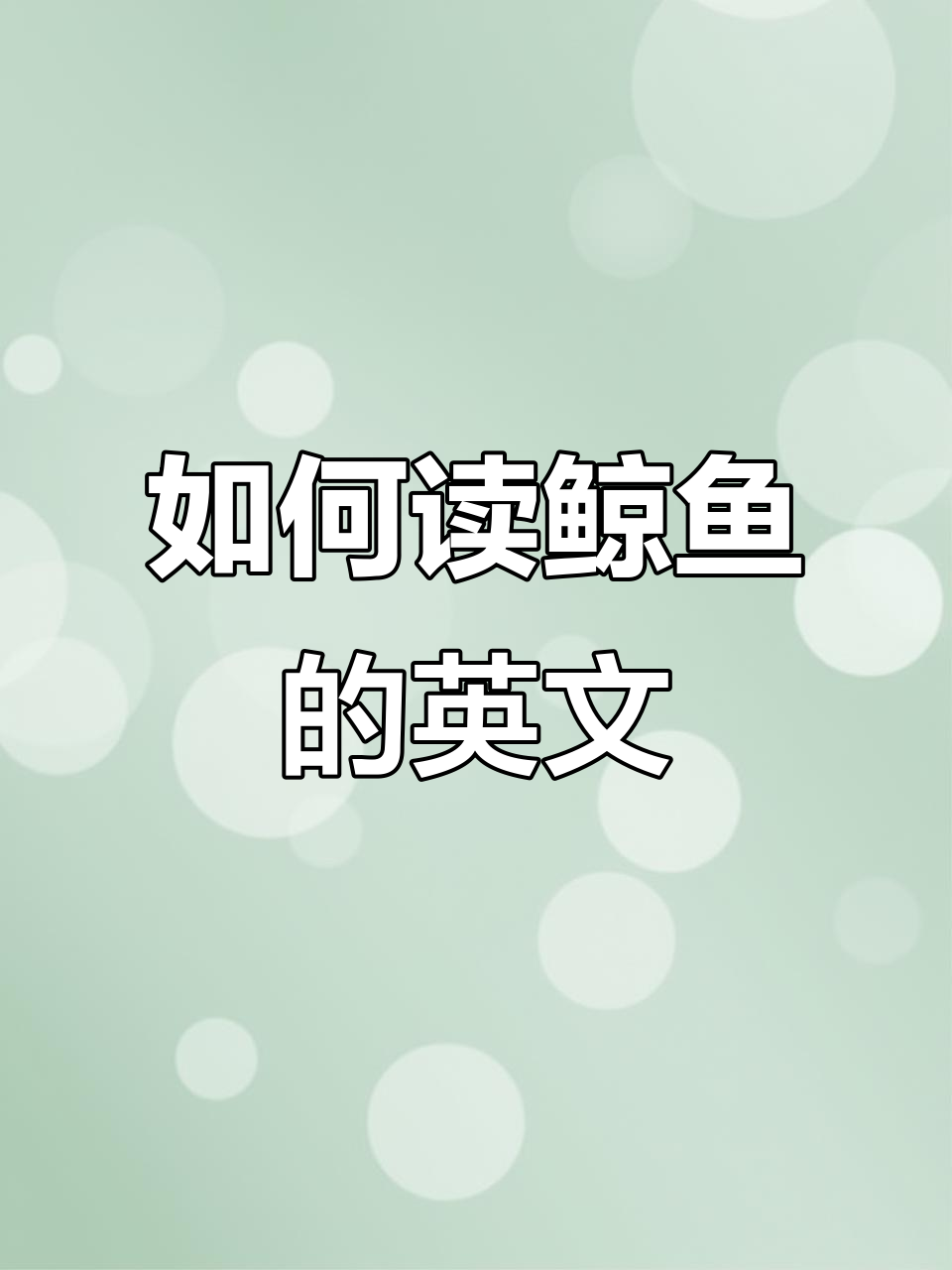 鲸鱼发音大揭秘,英语音标轻松掌握