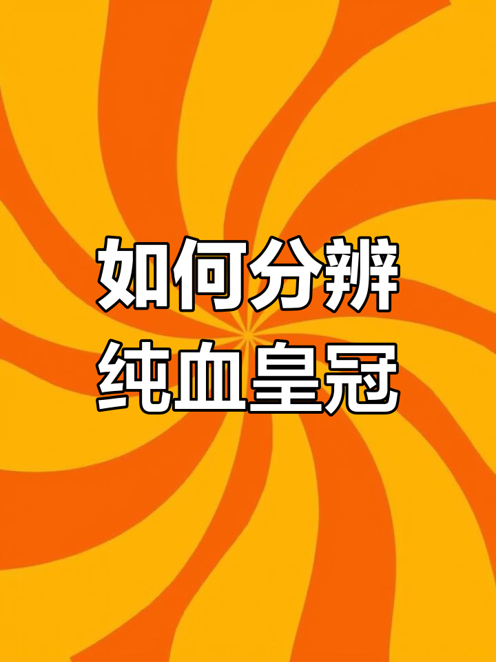纯血皇冠魟鱼辨别技巧,教你如何挑选优质品种
