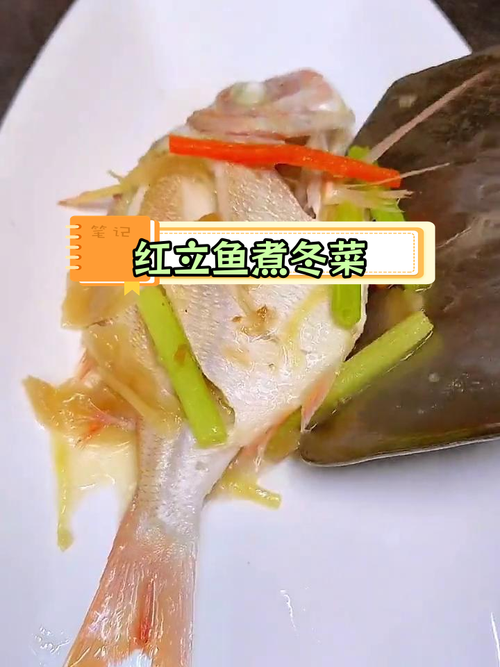 潮汕风味红立鱼煮冬菜,鲜美至极