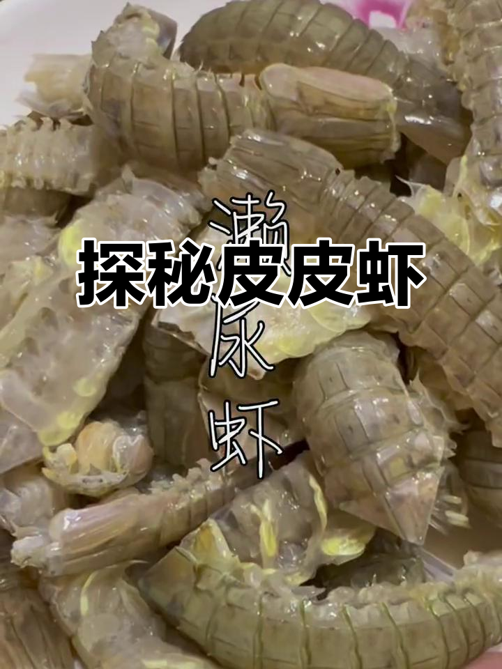 皮皮虾与濑尿虾的奇妙之旅