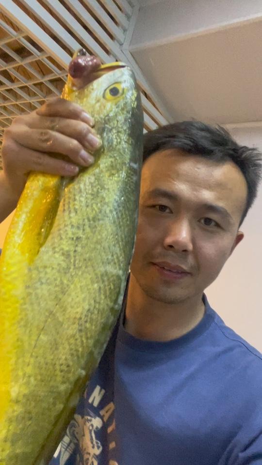 海鲜原产地 舟山海鲜 东海野生大黄鱼,4斤的