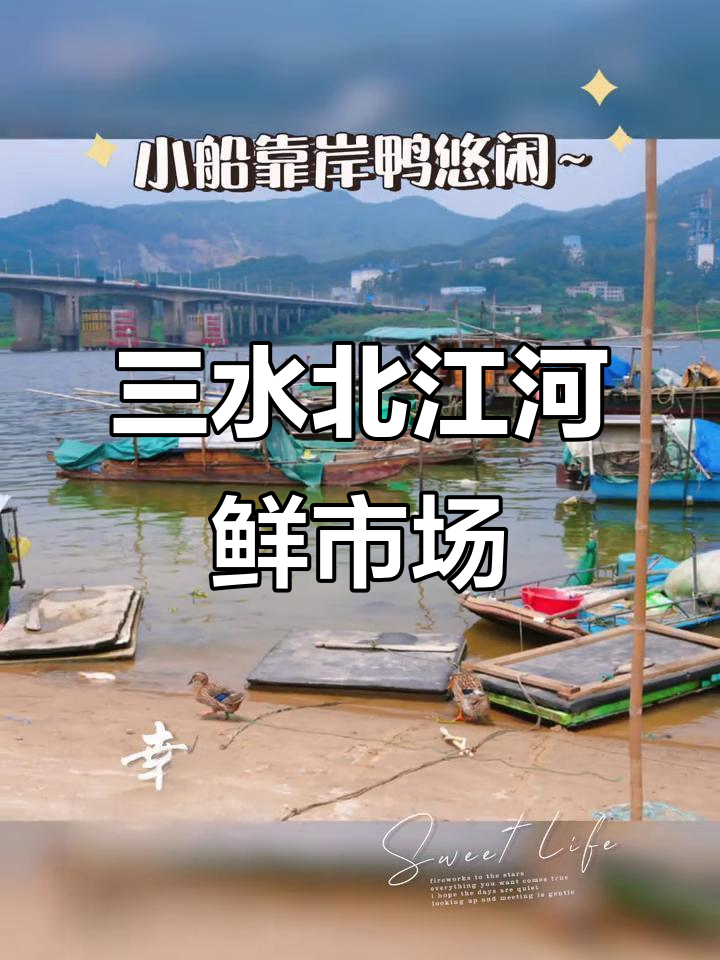 佛山三水北江大堤河鲜市集,甲鱼乌龟一网打尽