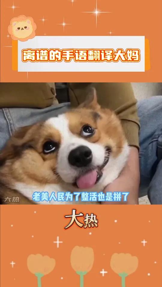 聋哑人:他为什么要拿意大利面拌42号混凝土?!