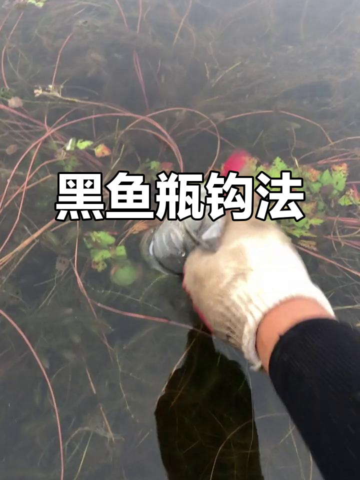 轻松钓黑鱼,瓶子陷阱一招制敌