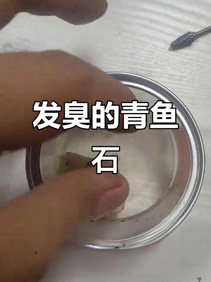 网友送来的青鱼石，已发臭，赶紧清洗处理