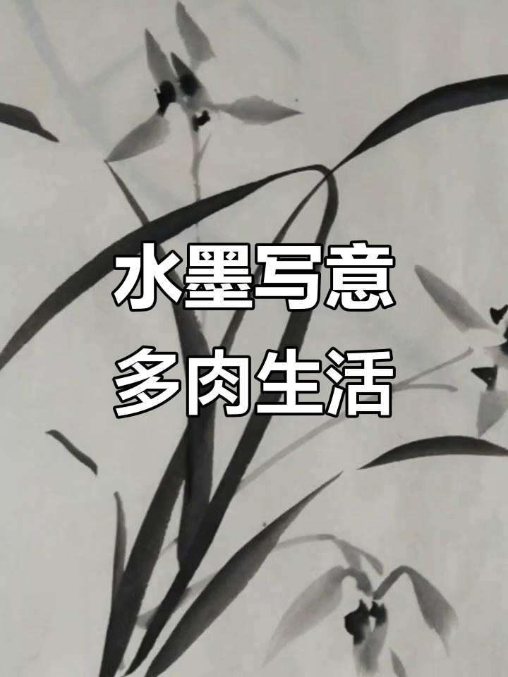 用水墨画记录多肉植物的美丽世界