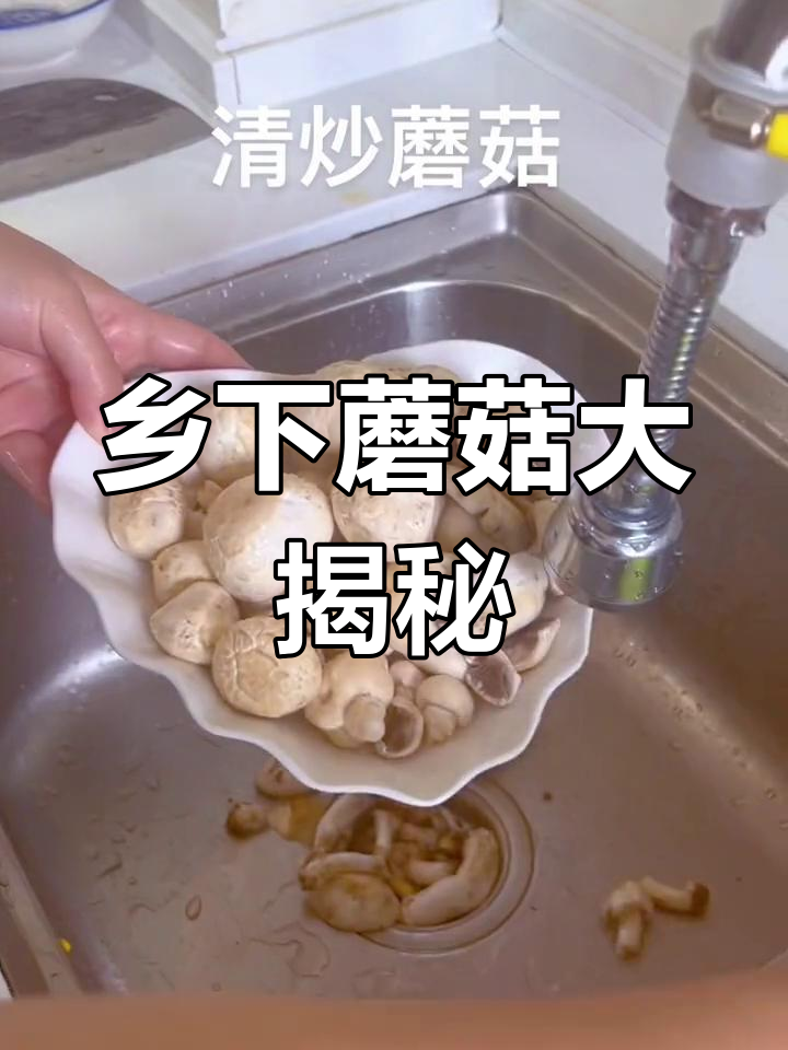 农田里的美味草菇,你们尝过吗?太香了!