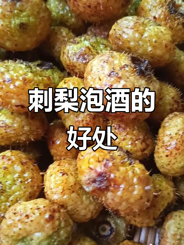 刺梨泡酒的神奇功效,助你强身健体、消食解暑