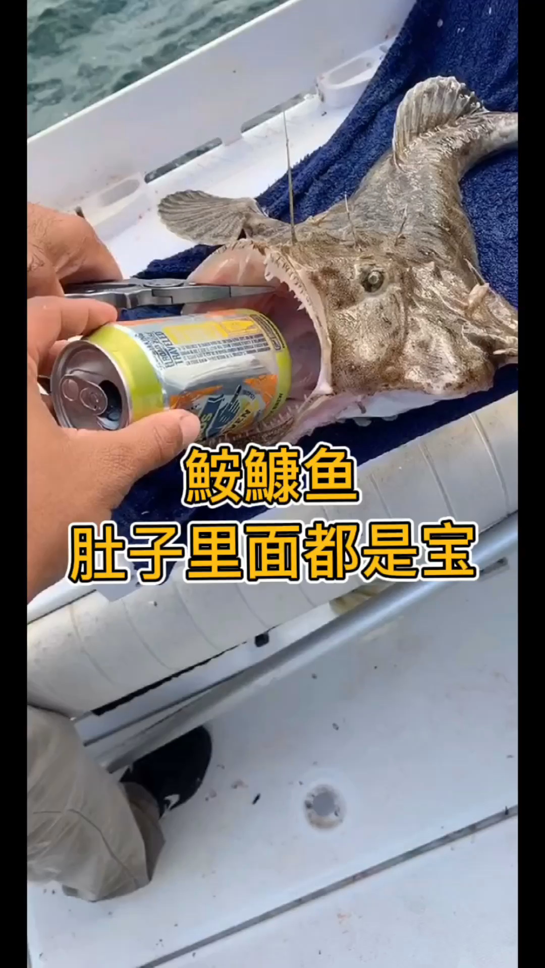 鮟鱇鱼肚子里面的东西比它自己值前
