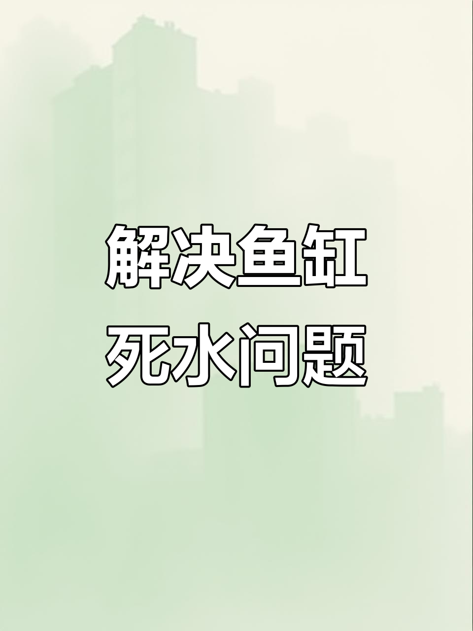 鱼缸过滤死水区解决法,一块隔离板让水质焕然一新