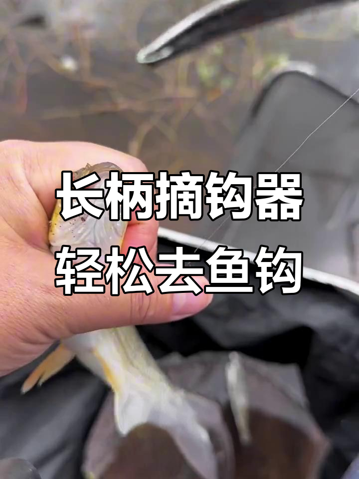 钓鱼遇到深喉钩子难取?这种长柄摘钩器轻松搞定
