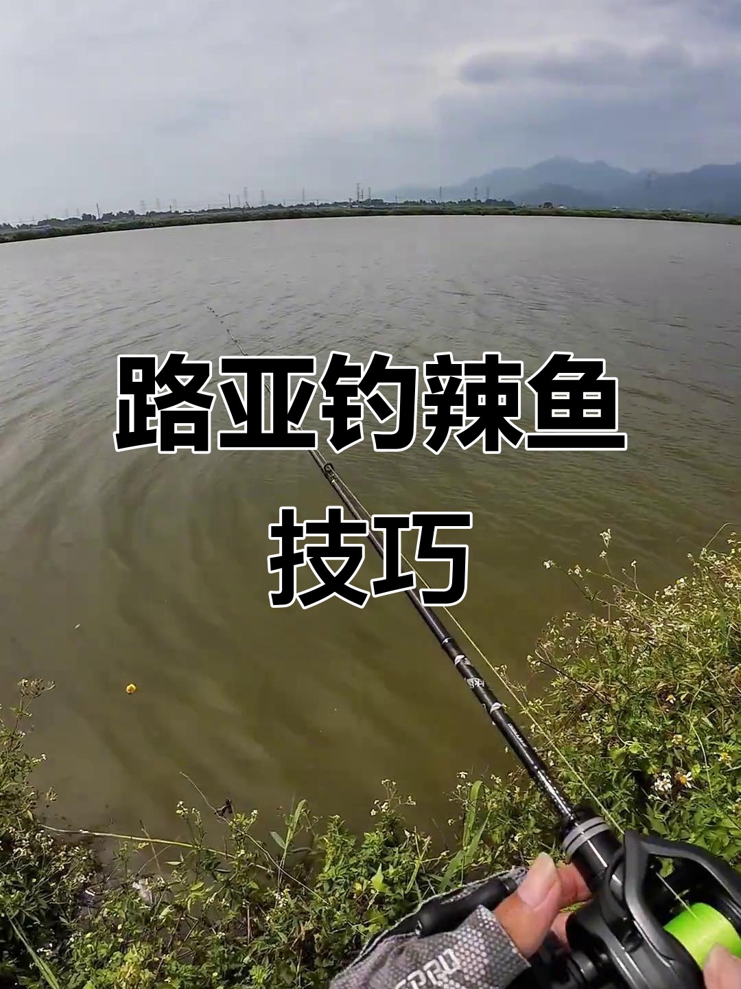路亚钓腊鱼轻松上手,掌握黄脚腊钓法