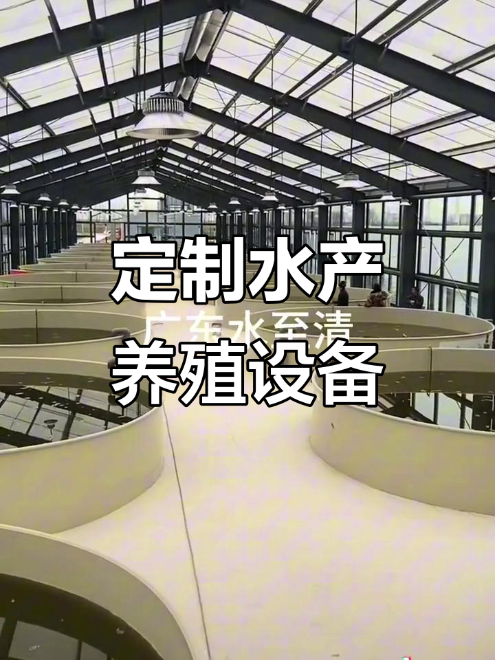 水产养殖设备定制,鱼池设计与制作全流程
