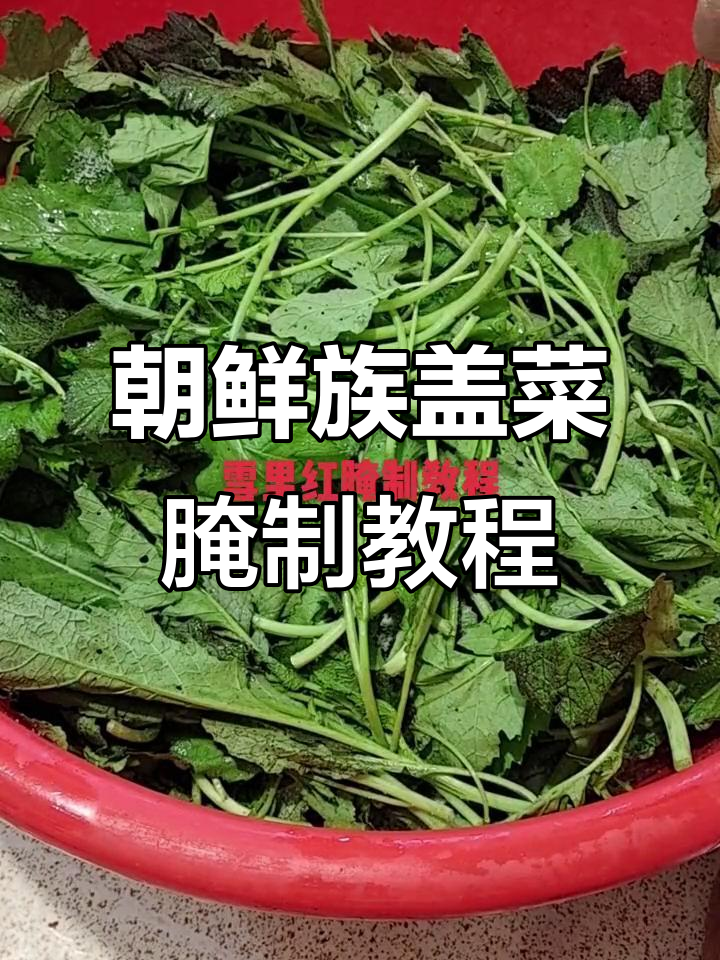 朝鲜族雪里红盖菜腌制技巧,十斤菜一斤盐,步骤超简单