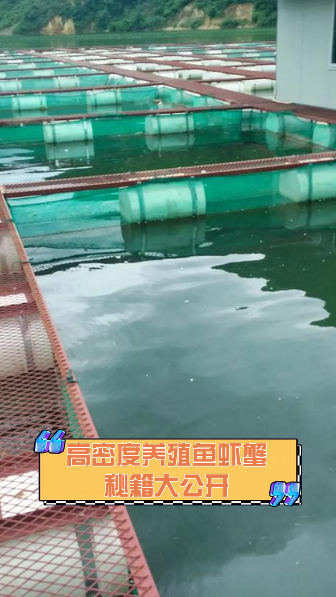 高密度养殖鱼虾蟹秘籍大公开