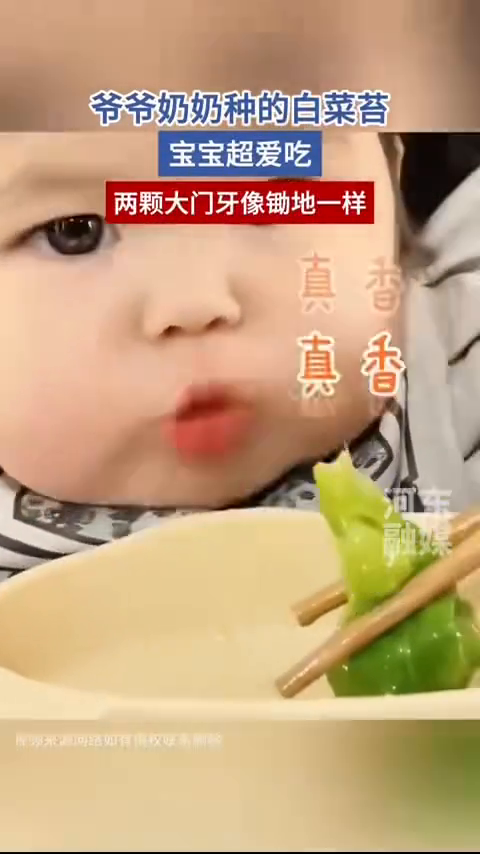爷爷奶奶种的白菜苔,宝宝超爱吃,两颗大门牙像锄地一样