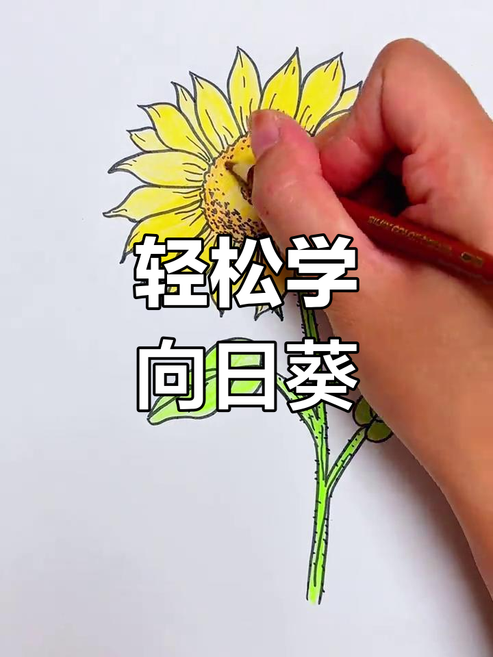 向日葵画法,简单又好看!