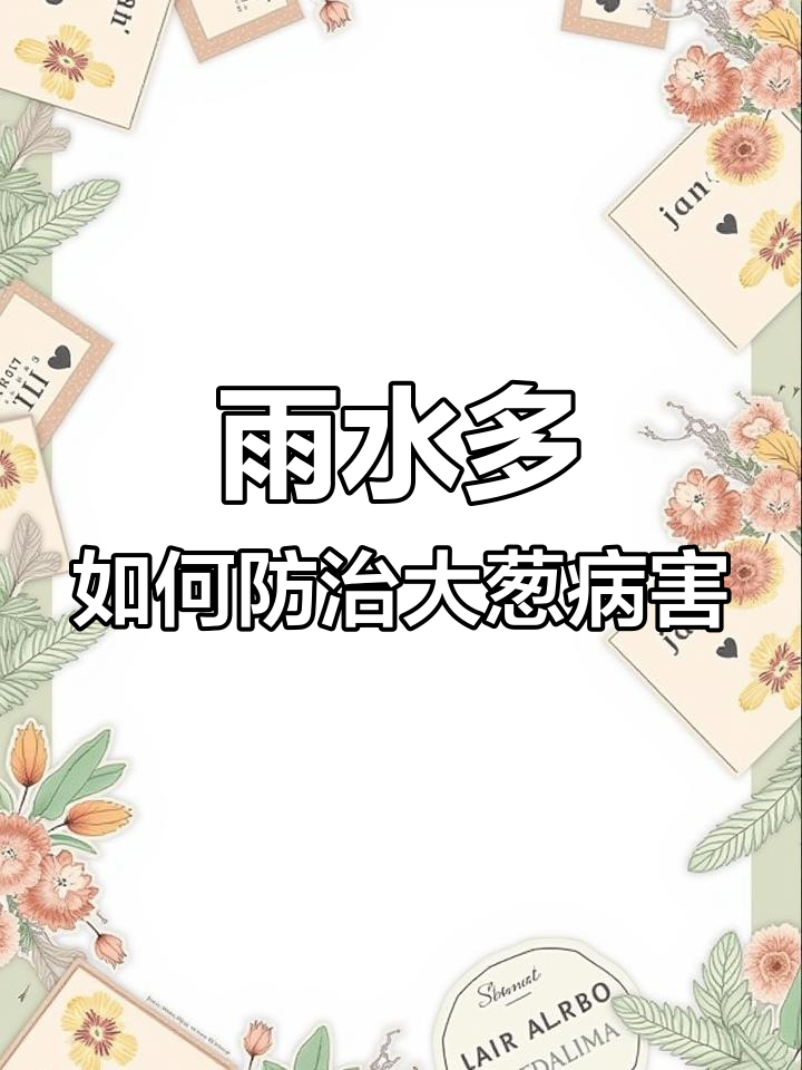 大雨后大葱根腐病软腐病的防治方法