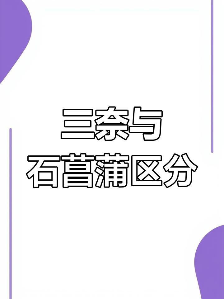 很多人混淆三奈与石菖蒲,其实它们是两种不同的植物