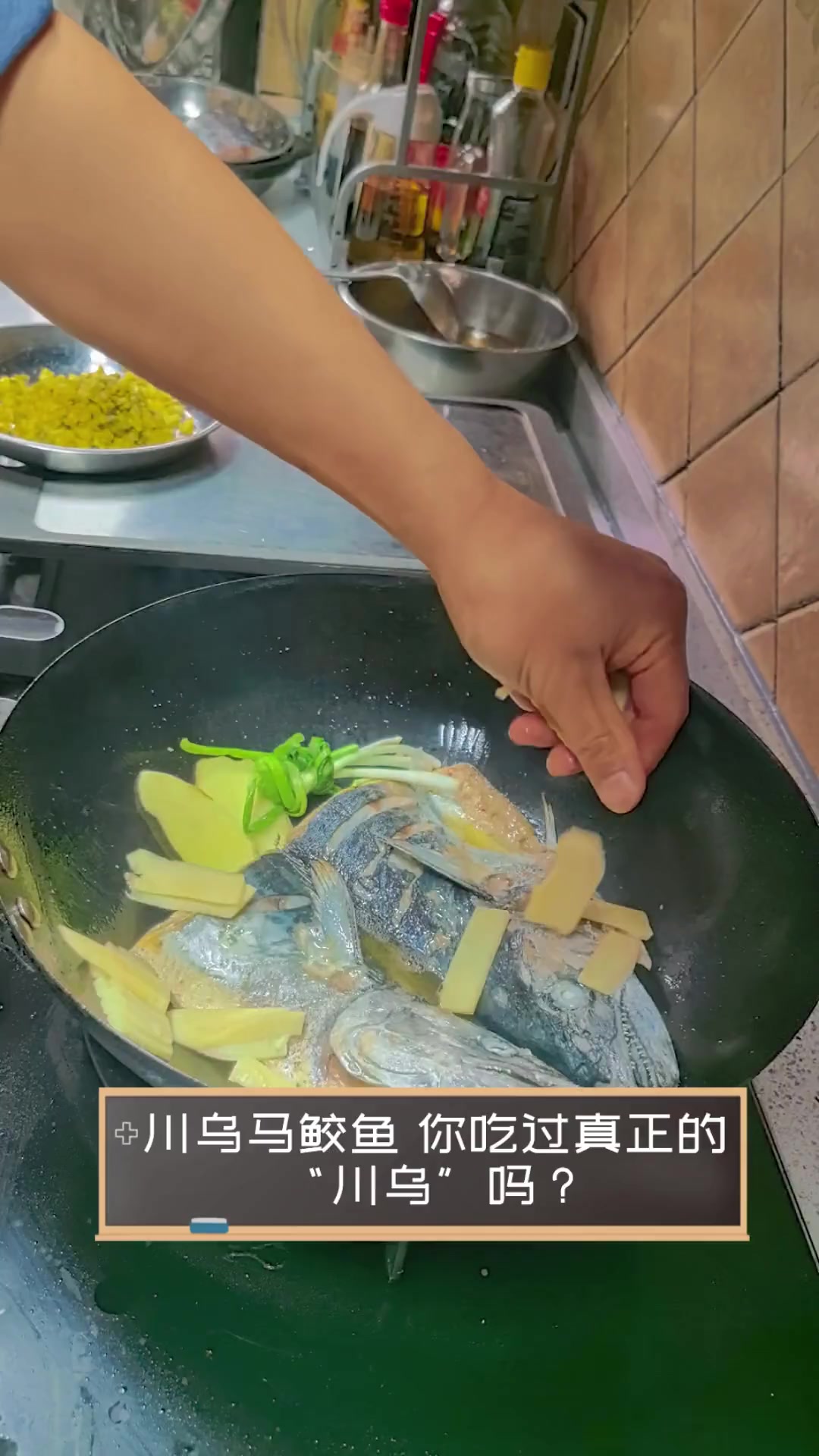 川乌马鲛鱼,你吃过真正的“川乌”吗?