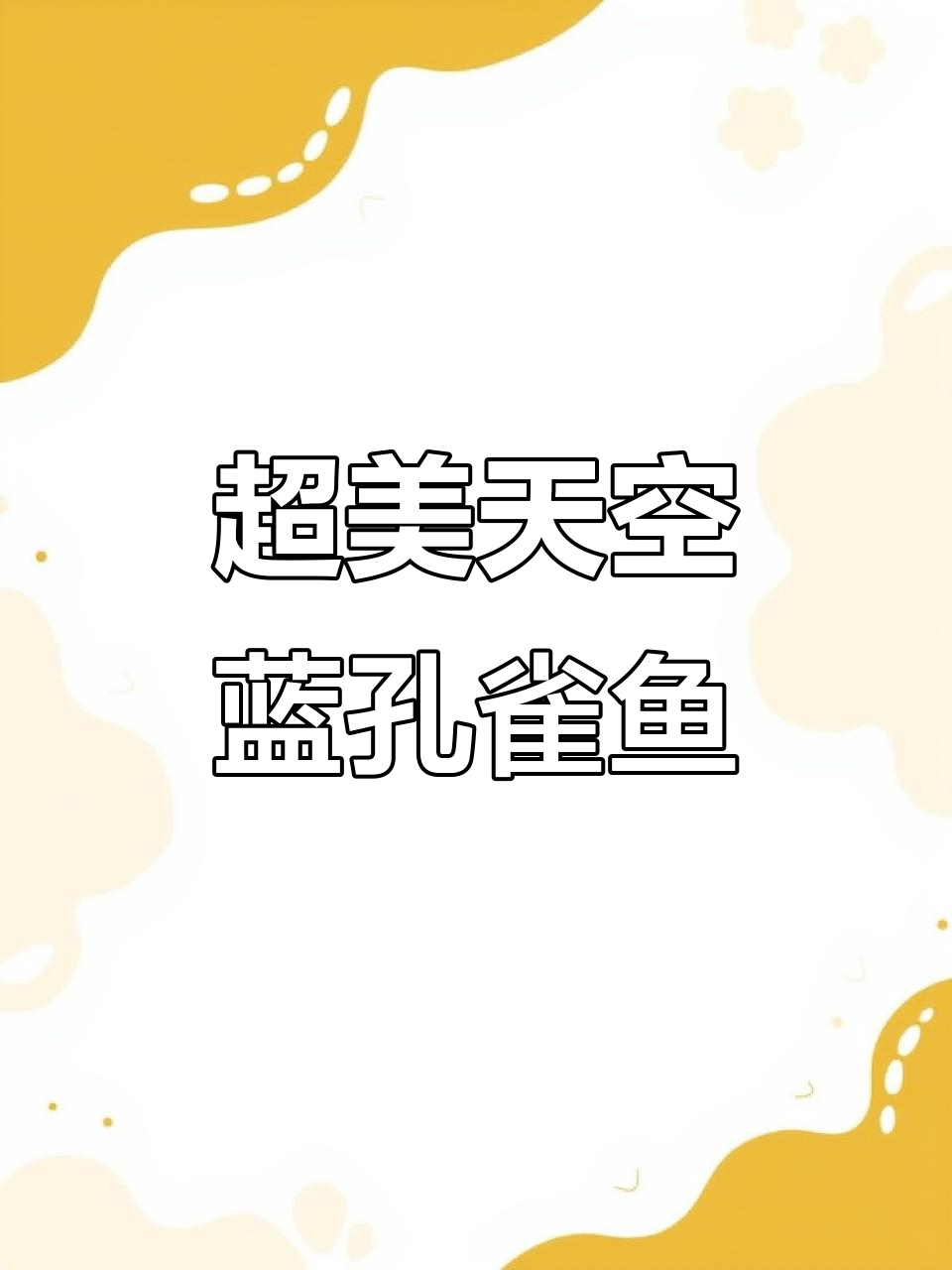 梦幻孔雀鱼,游动如仙子般美丽