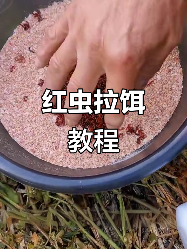 红虫与饵料混合开钓技巧,掌握这些步骤让你轻松钓鱼