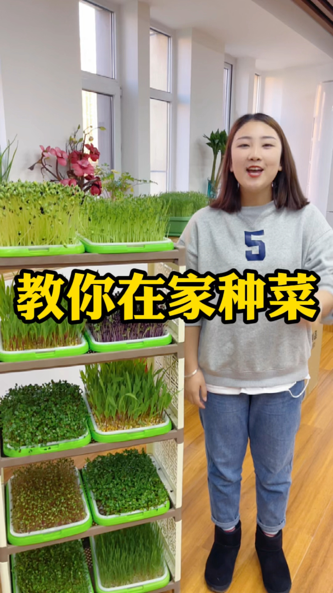 相种好芽苗菜,赶快看看吧