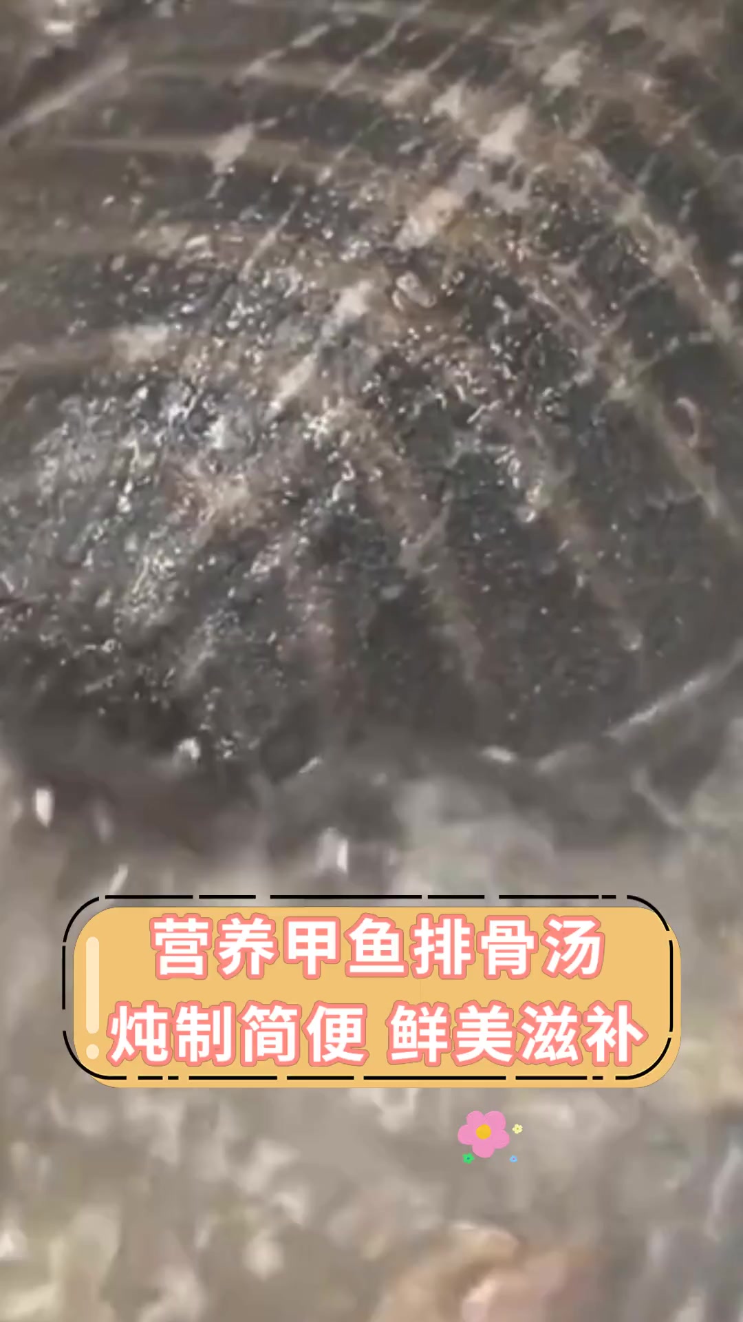 营养甲鱼排骨汤炖制简便 鲜美滋补