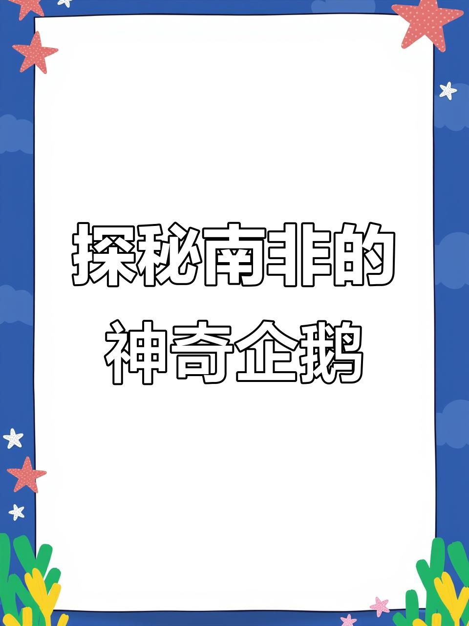 非洲也有企鹅?来看看这些独特的小家伙