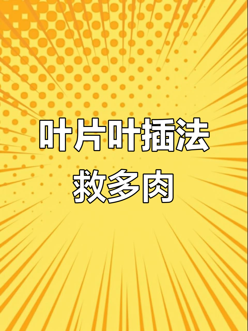 多肉晒伤化水怎么办?教你快速挽救方法,秋天重生一盆