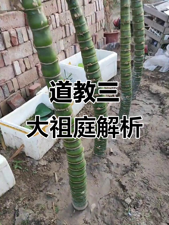 道教三大派别与祖庭揭秘：正一、全真及龙虎山等