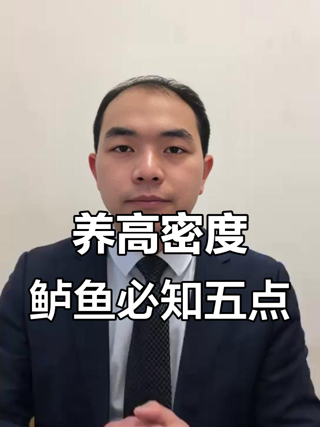 高密度养鲈鱼、鳜鱼的五大关键技巧，助你避免风险