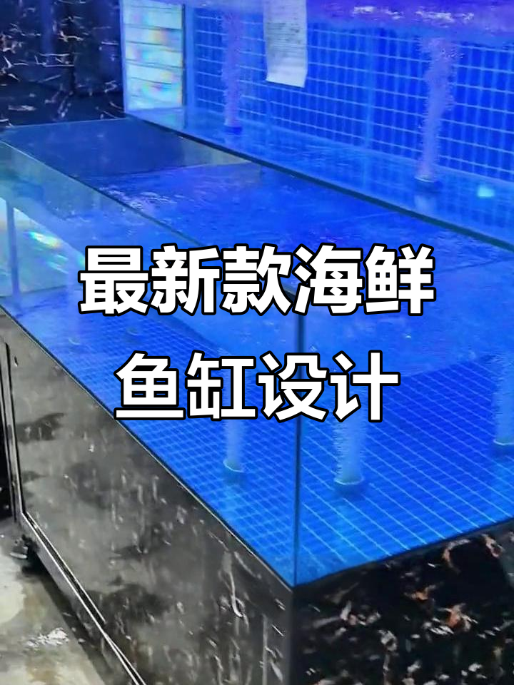 双层海鲜鱼缸设计，大沙头供氧与双系统过滤完美结合