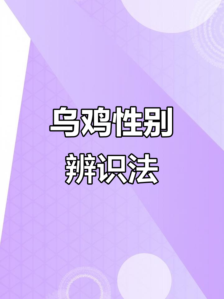 辨别泰和乌鸡公母，我有小妙招！