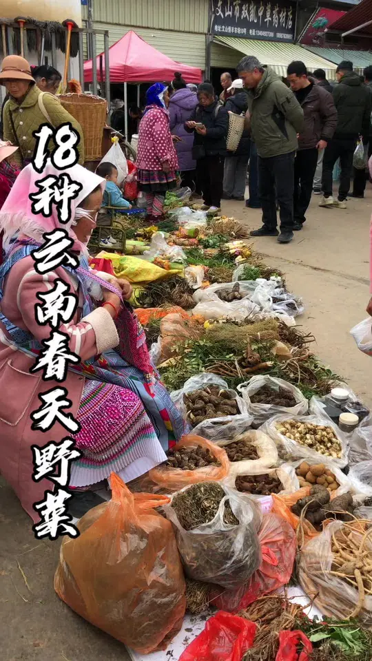 云南人接下来要吃的野菜，哪个最好吃？