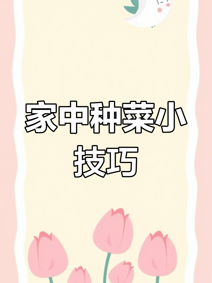 疫情宅家,轻松种植芽苗菜,简单又实用!