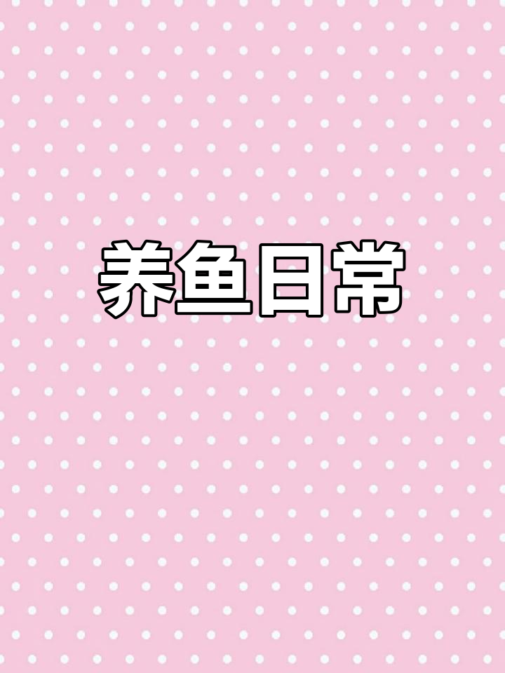 鳑鲏鱼繁殖日记,家里养鱼的乐趣
