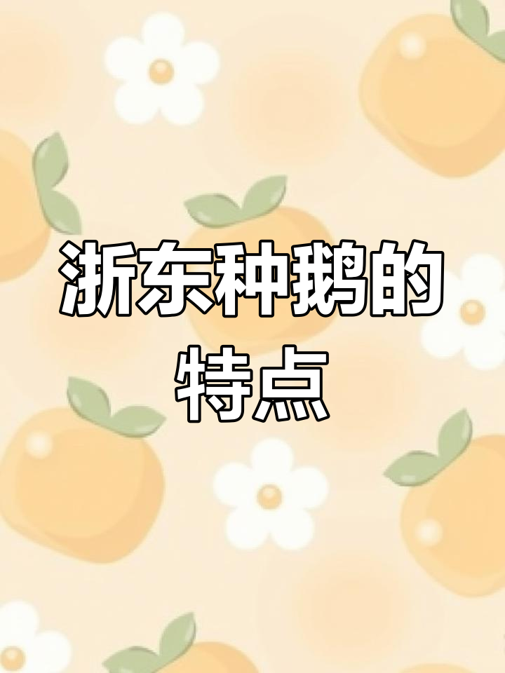 浙东种鹅与其他品种的区别