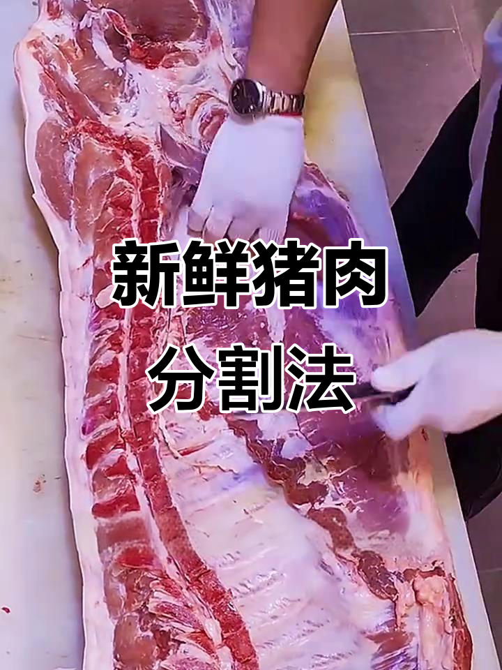 快速分解猪肉,轻松掌握小技巧