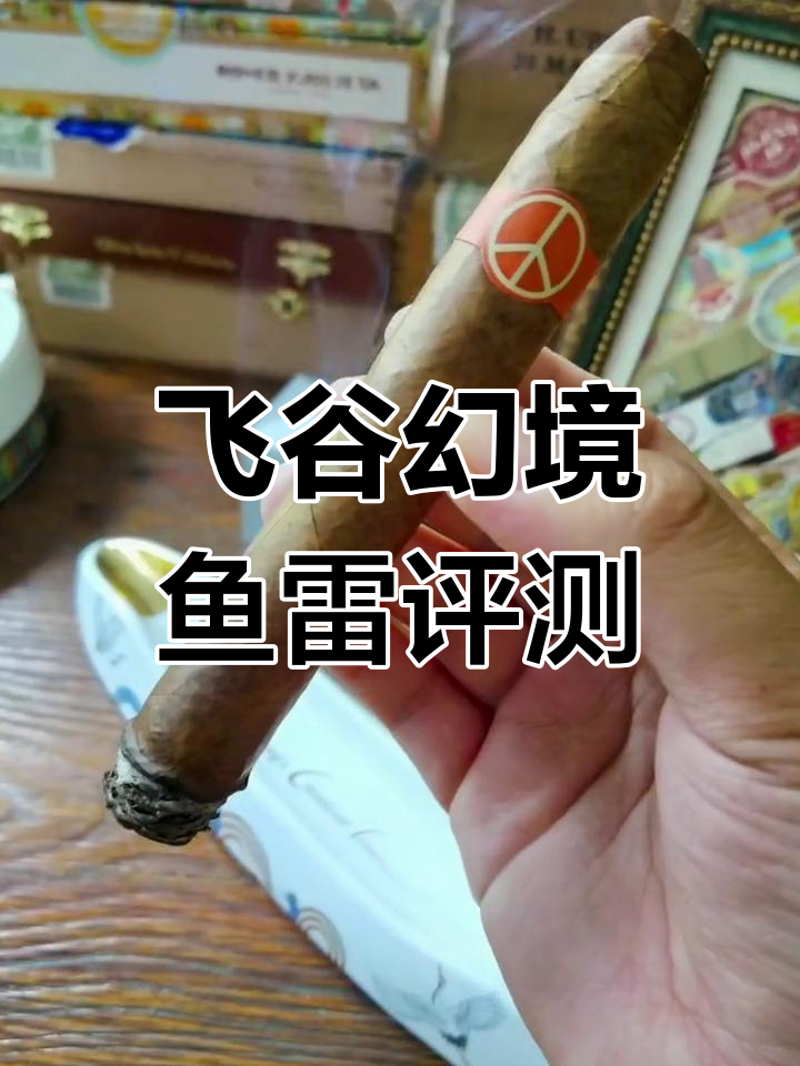 飞谷雪茄幻境系列鱼雷品鉴：温和高端，香气饱满
