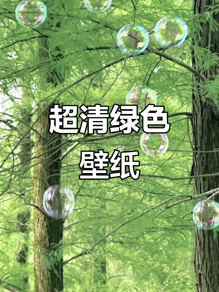绿色系超清手机壁纸,清新自然风格