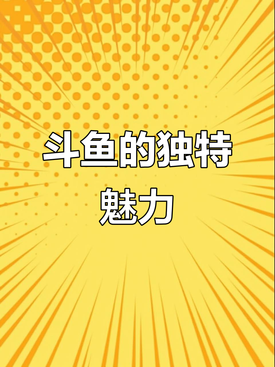 斗鱼美丽又孤独,大尾巴如婚纱般迷人,分开养最省心