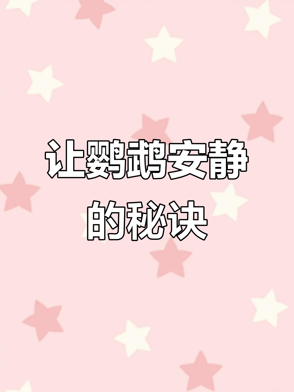 鹦鹉激动大叫?试试这段音频让它安静下来